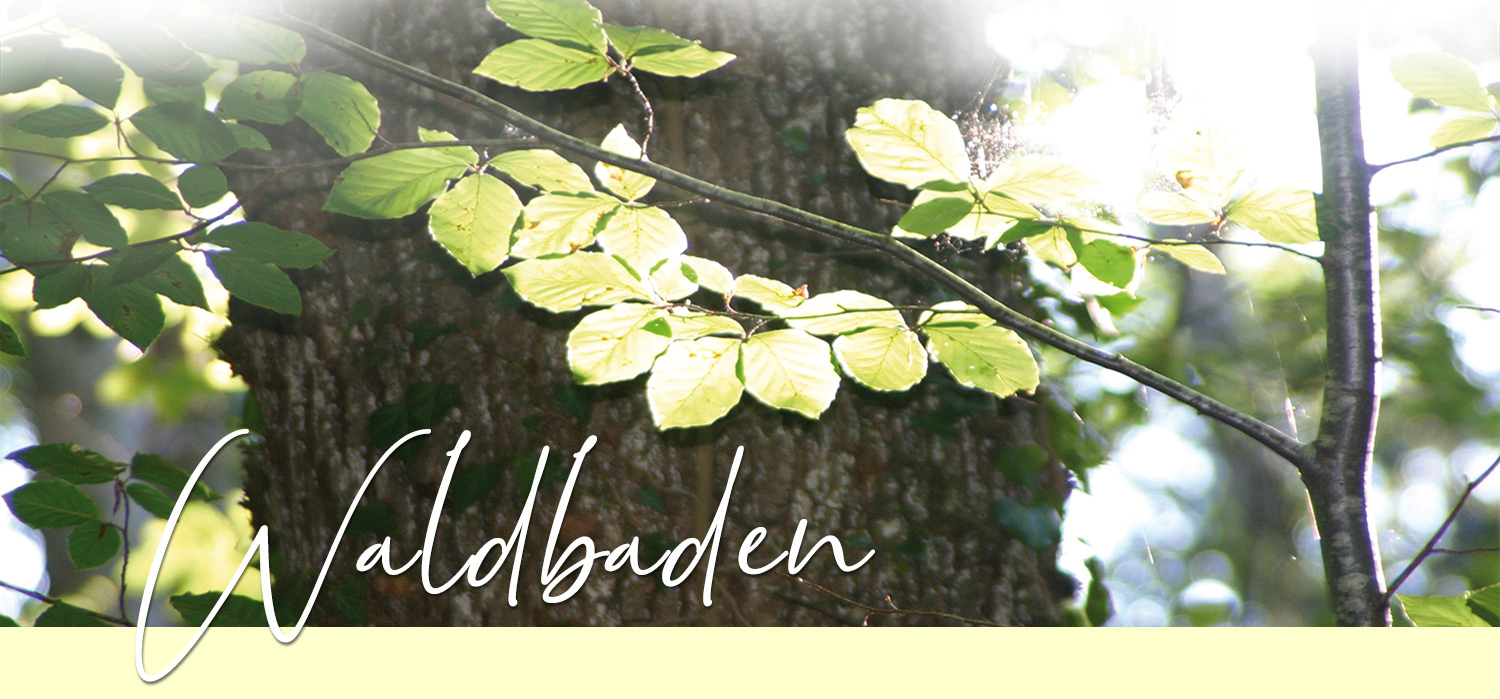 Waldbaden2